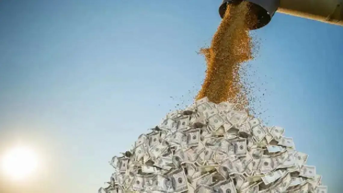 Caída de la liquidación agroexportadora: efecto rezagado del 'dólar soja'