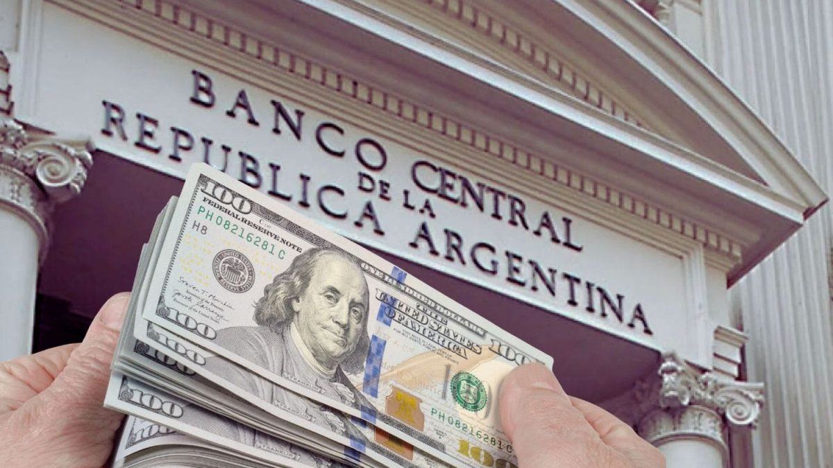 El BCRA compró u$s110 millones y las reservas superaron los u$s46.000 millones