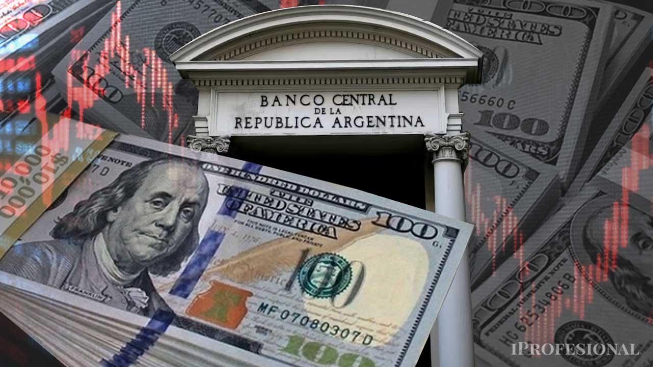 El BCRA ya compró u$s6.016 millones y las reservas brutas superan los u$s45.791 millones