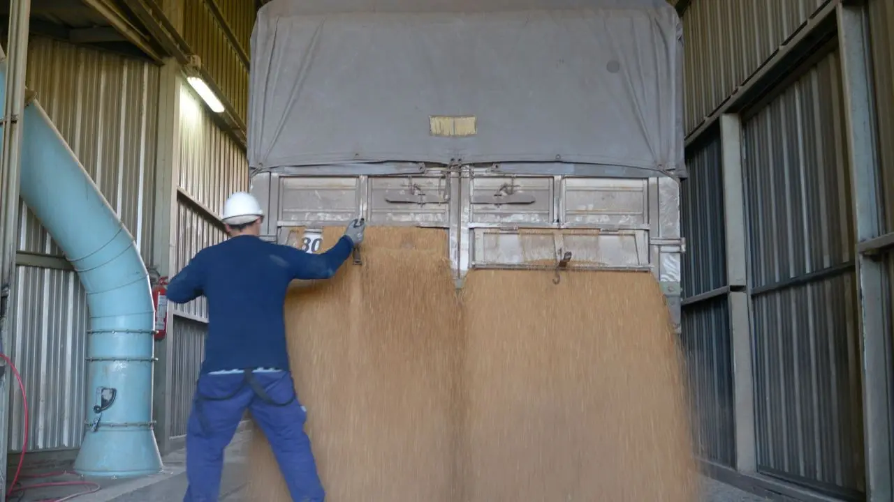 Exportaciones agroindustriales crecieron u$s489 millones en el primer bimestre de 2026