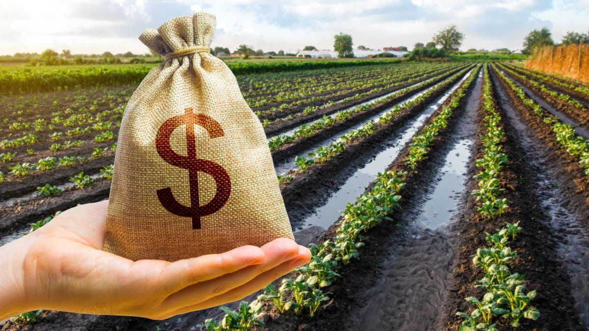 La guerra en Medio Oriente y sus efectos mixtos sobre los granos argentinos