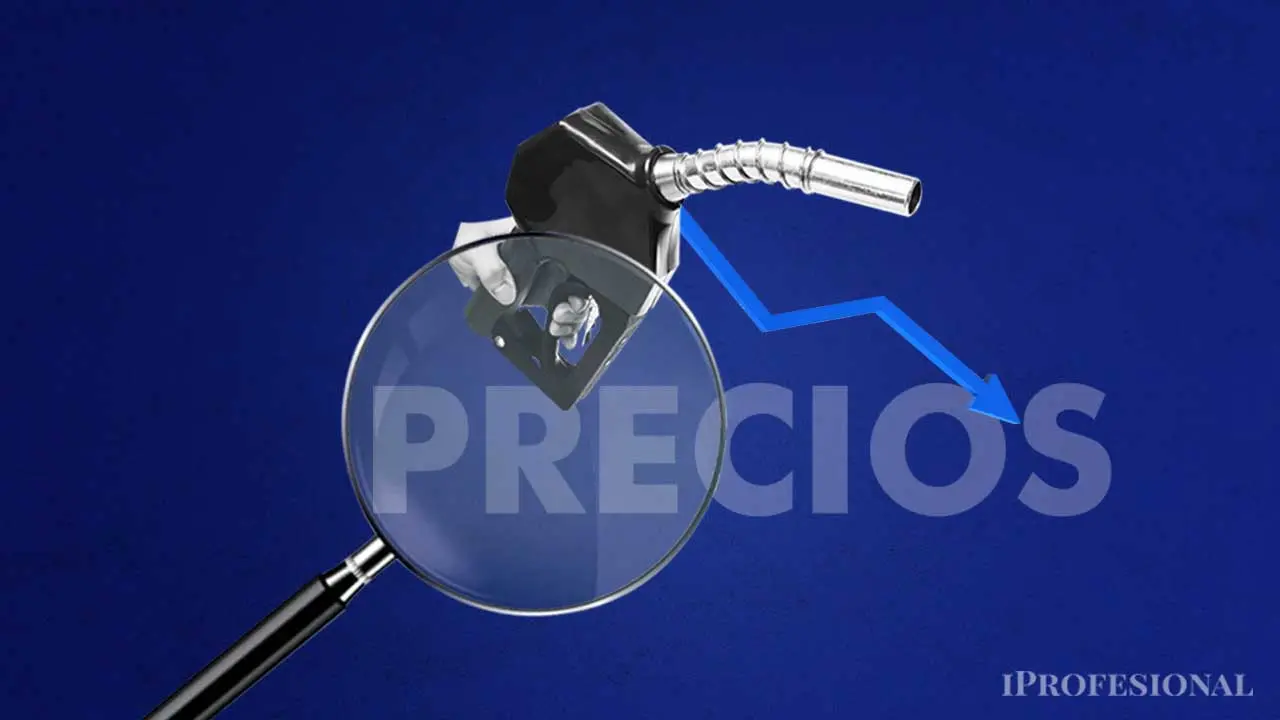 Qué parte del precio de la nafta son impuestos y qué hacer con la suba del petróleo