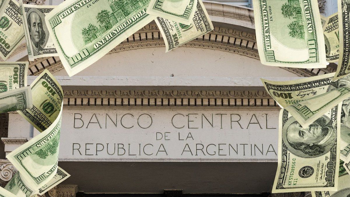 Reservas del BCRA caen u$s296 millones pese a compras en el MLC